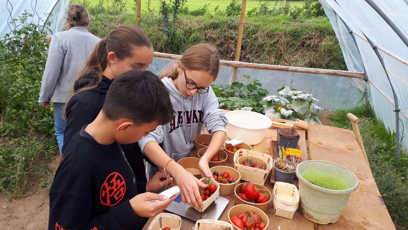 Atelier jardin 1 8