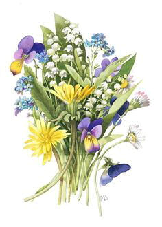 6a748f44b4845d63653d683b7d7da07a marjolein bastin spring flowers